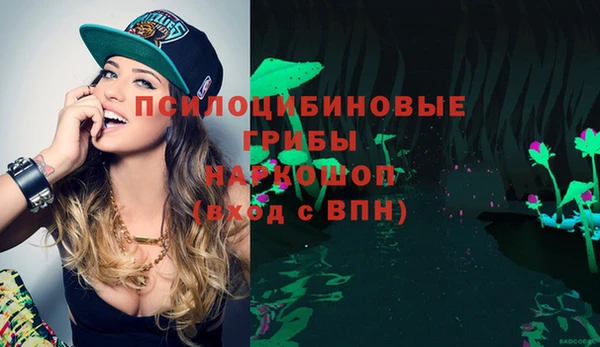 спиды Аркадак