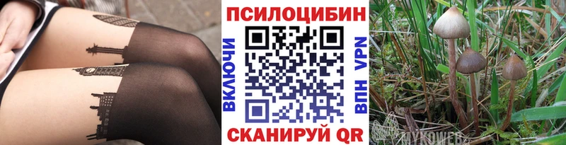 гидра вход купить Светлогорск Галлюциногенные грибы GOLDEN TEACHER